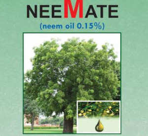 Read more about the article NEE-MATE